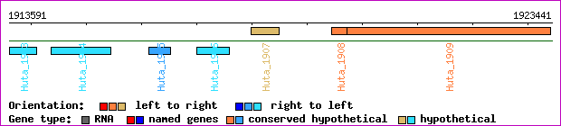 gene map