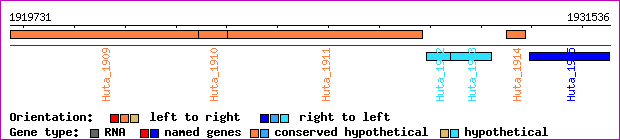 gene map
