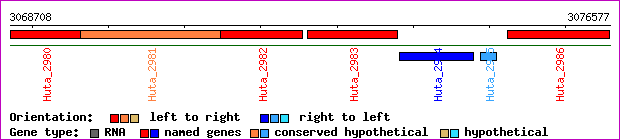 gene map