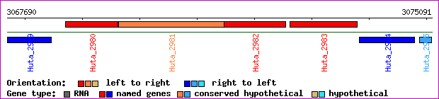 gene map