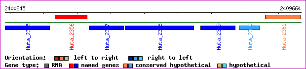 gene map
