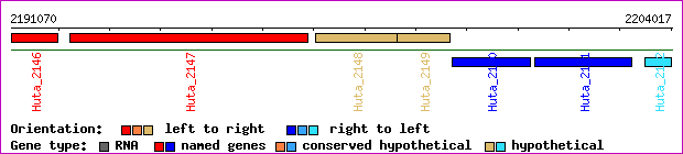 gene map
