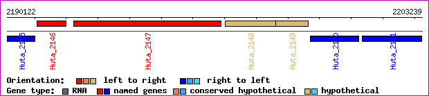 gene map