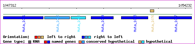 gene map