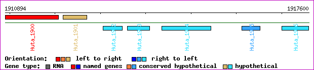 gene map