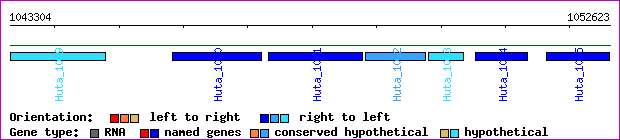 gene map