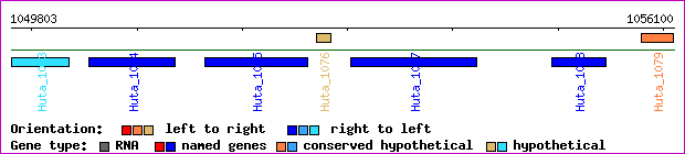 gene map