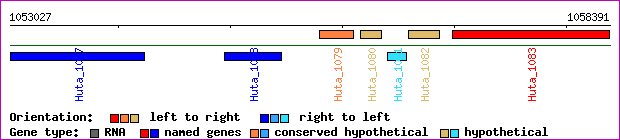 gene map