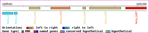 gene map