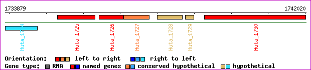 gene map