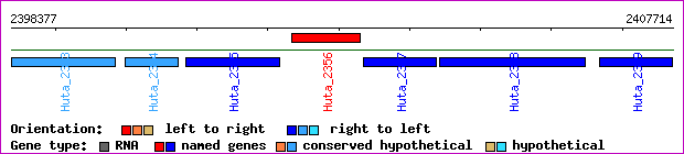 gene map