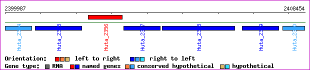 gene map