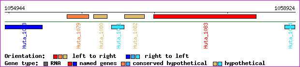 gene map