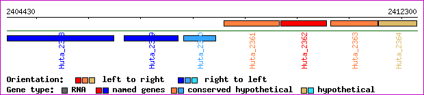 gene map