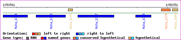 gene map
