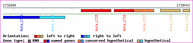 gene map