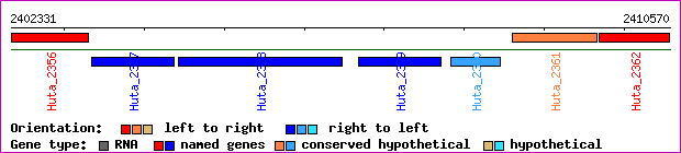 gene map