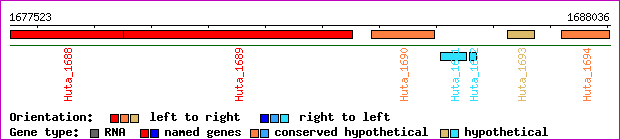 gene map