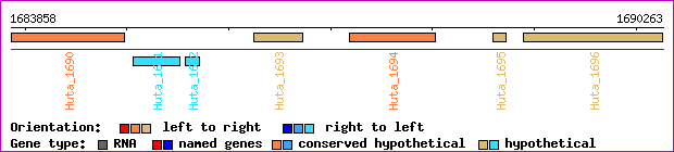 gene map