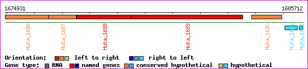 gene map