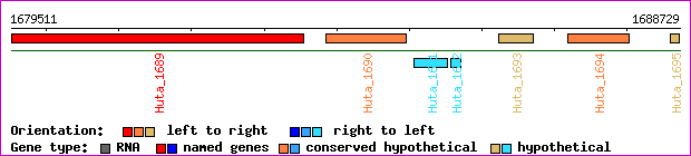 gene map