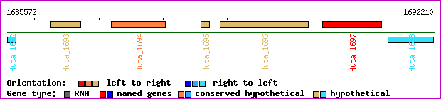 gene map