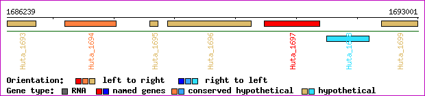gene map