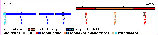 gene map