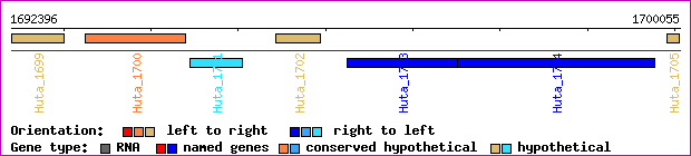 gene map
