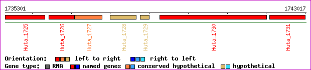 gene map