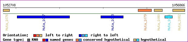 gene map