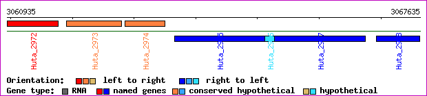 gene map