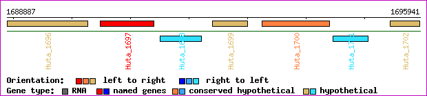 gene map