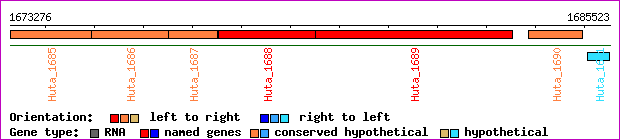 gene map