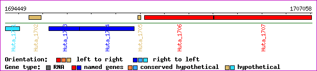 gene map