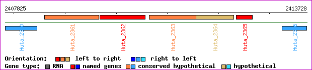 gene map