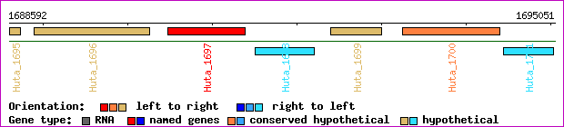 gene map