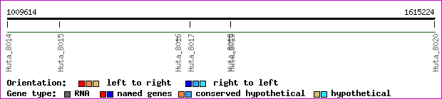 gene map