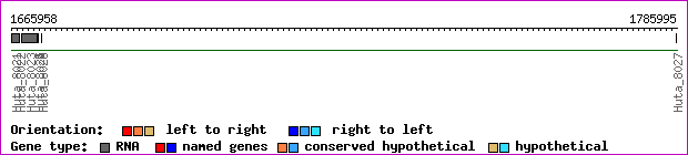gene map