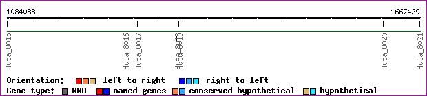 gene map