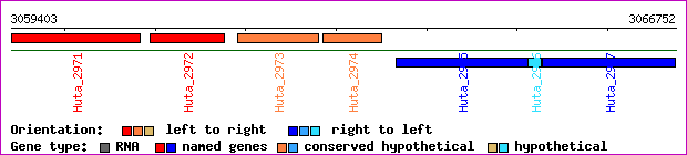 gene map