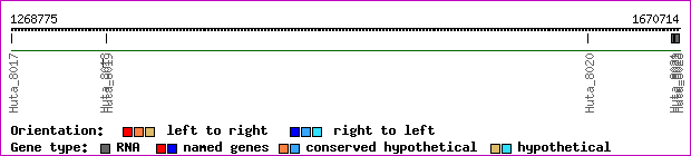 gene map