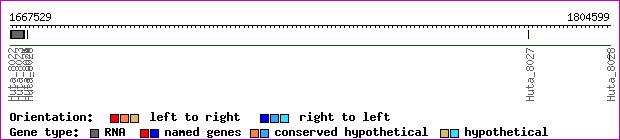 gene map