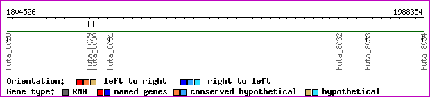 gene map