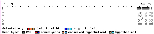 gene map