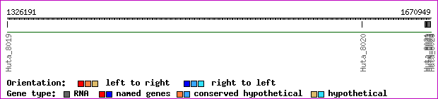 gene map