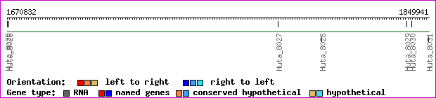 gene map