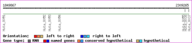 gene map