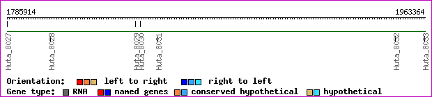 gene map