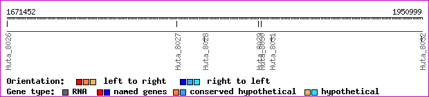 gene map